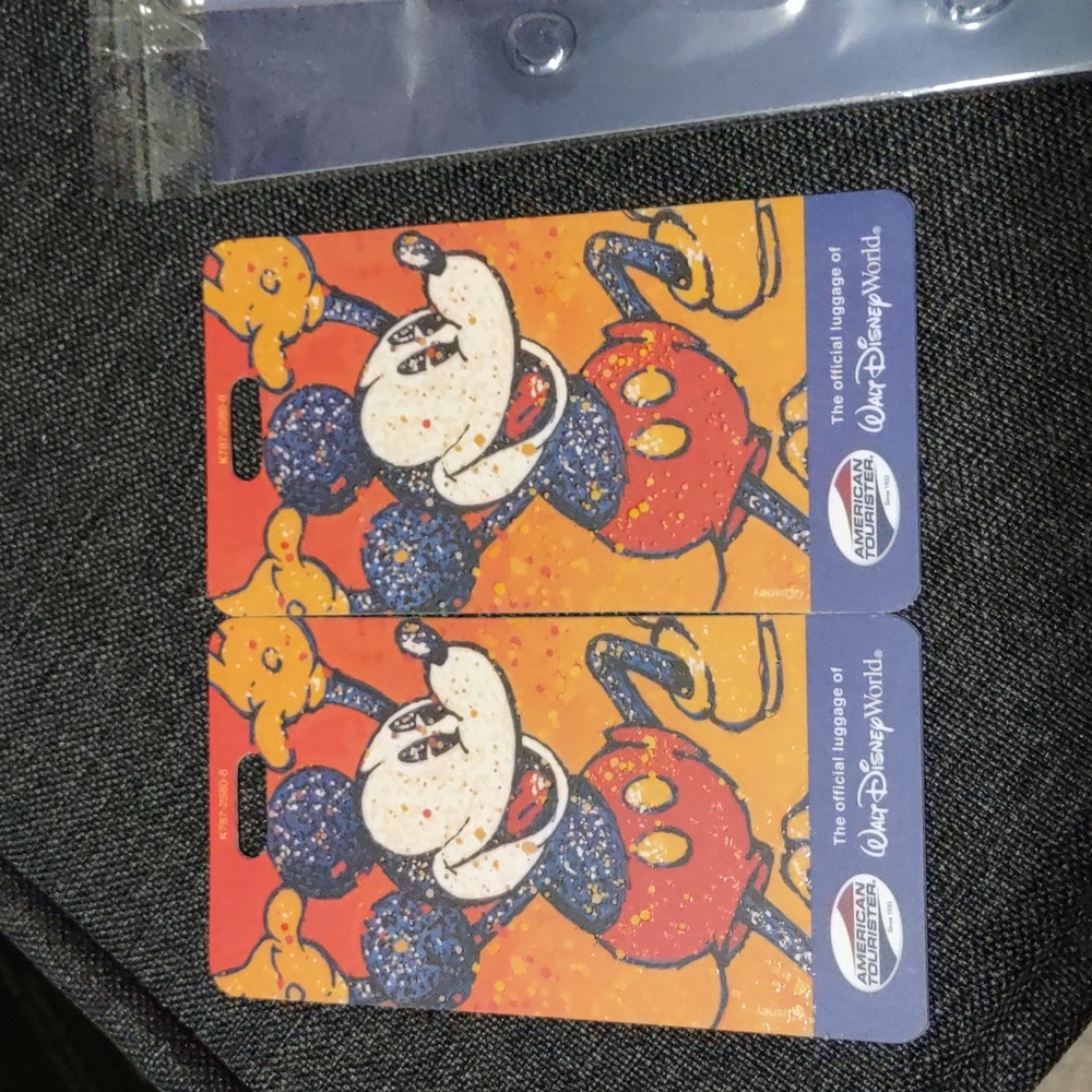 Set of 2 Walt Disney World Mickey Luggage Bag Tags